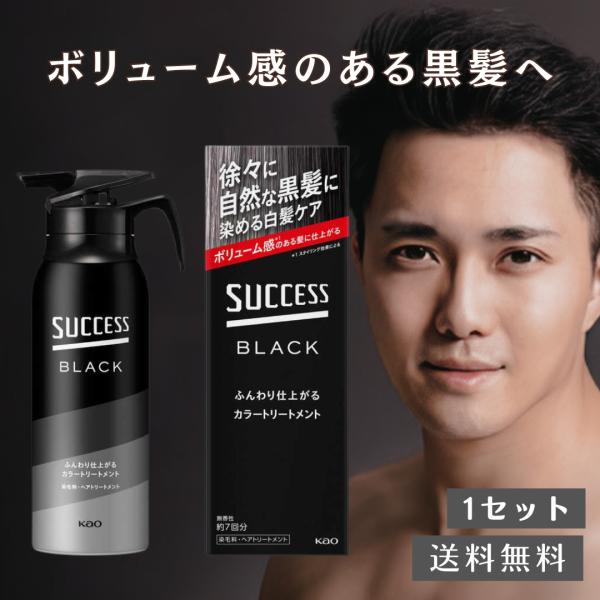 サクセス サクセスブラック ふんわり仕上がるカラートリートメント