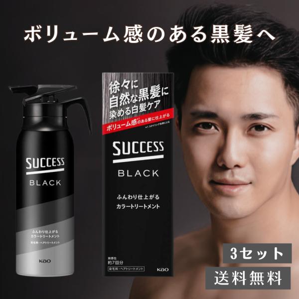サクセス サクセスブラック ふんわり仕上がるカラートリートメント