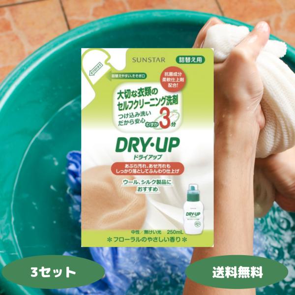 サンスター ドライアップ DRY・UP 衣料用洗剤 詰替 250ml 3セット