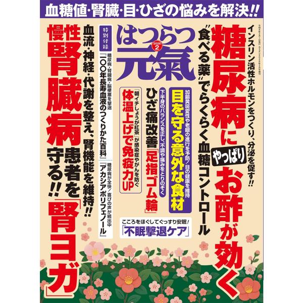 ＜第一特集＞糖尿病にはやっぱりお酢が効くインスリン活性ホルモンをつくり、分泌を促す”食べる薬”でらくらく血糖コントロール解説・お酢が血糖値を下げる仕組みをわかりやすく！名医が太鼓判！ 血糖値を下げる酢漬け大集合レシピ紹介 おすすめ酢漬けをお...