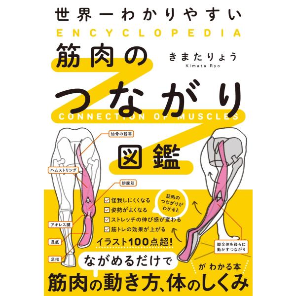 ながめるだけで「筋肉の動き方」「筋肉どうしのつながり」がわかる!■100点以上のオールカラーイラストで筋肉のつながり・仕組みを平易に解説。専門書では理解しづらい筋肉どうしの連動や、筋肉と体のしくみを優しくお届けしているので、スポーツ関係者・...
