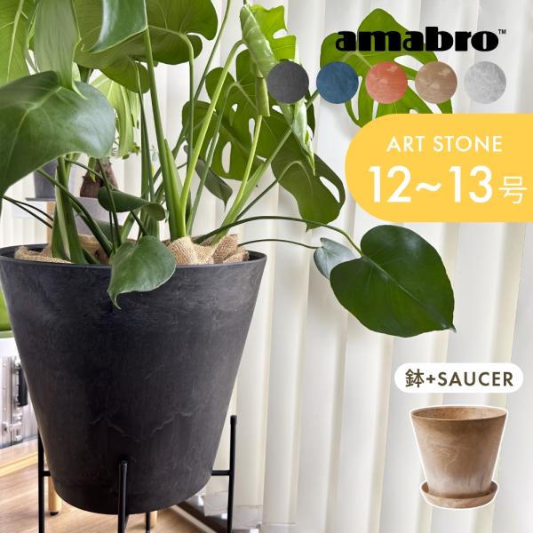 in-store_amaartstsetll