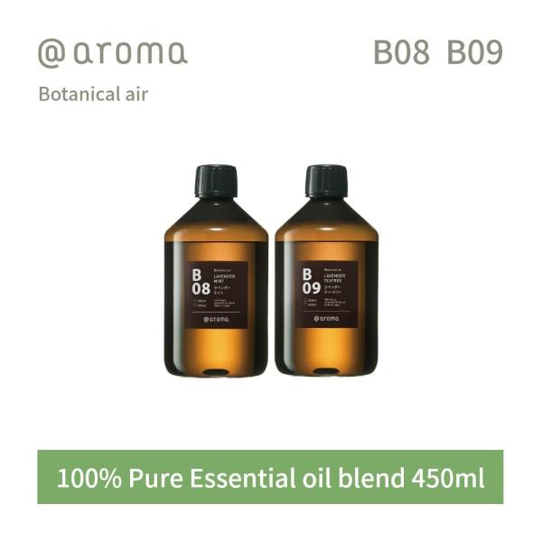 AbgA} {^jJGA[ GbZVIC  450ml B08 B09