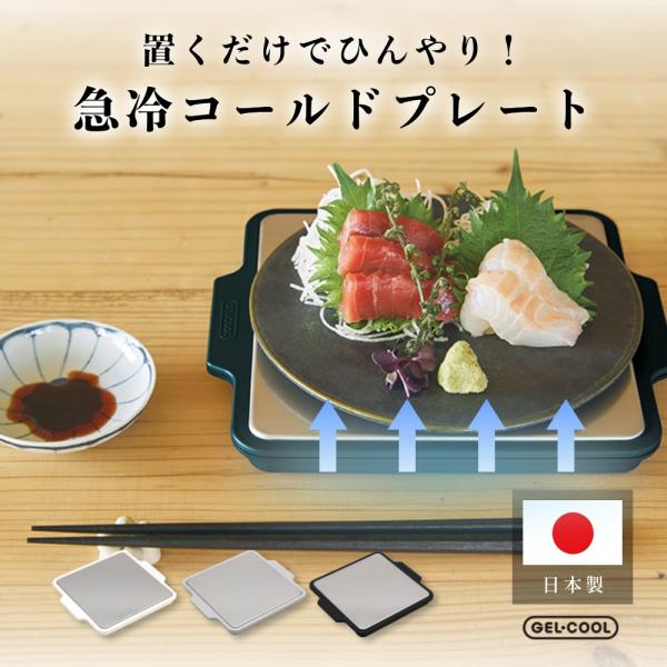 GEL-COOL ジェルクール 急冷コールドプレート : INSTORE インストア