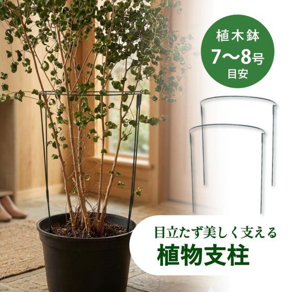 in-store_inflwstdkumi20-gr-20