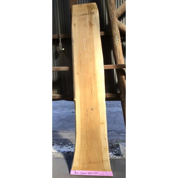 樫(かし)耳付き 無垢天板 2000×50×330ミリ【全国配送不可 樫(かし)耳付き 無垢天板 2000×50×330ミリ【全国配送不可