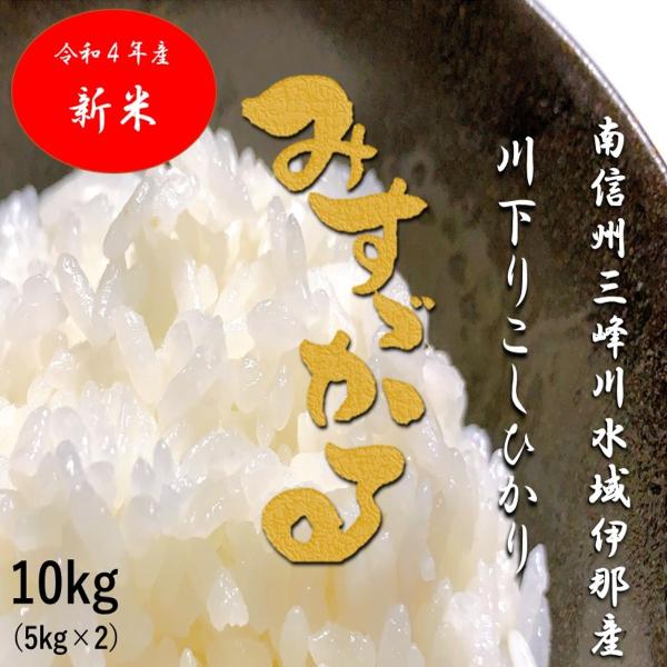 令和4年産 長野県伊那産 川下りコシヒカリ みすずかる 10kg お米 :kawakudari10kg:いなべい 通販 