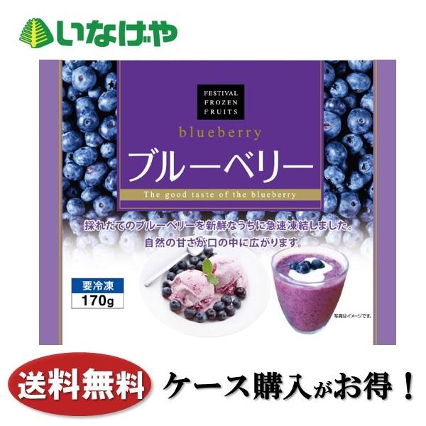 送料無料 冷凍食品 果物 フルーツ 富士通商 ブルーベリー 1袋(170g)×20袋 ケース 業務用