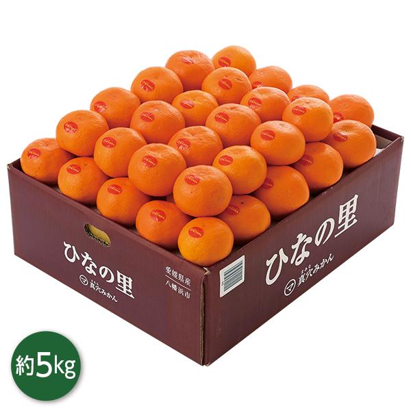 お歳暮 2025 ギフト 歳暮 フルーツ みかん 愛媛県産 真穴みかん（ひな