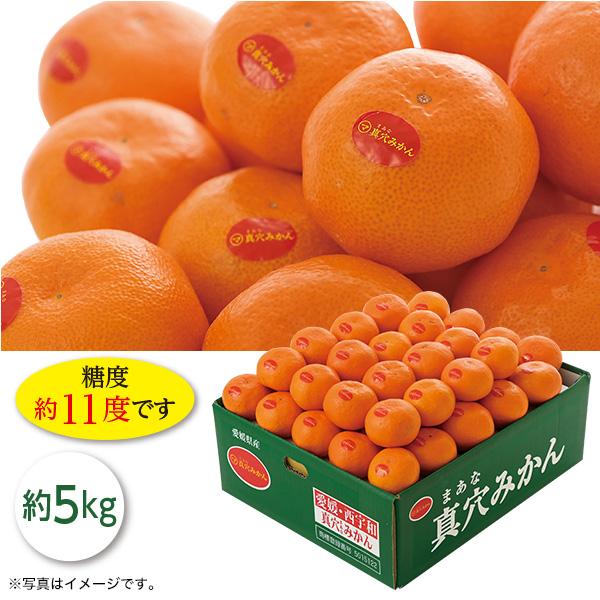 お歳暮 2026 フルーツ みかん 愛媛県産 真穴みかん 5kg 離島不可 ギフト いなげや イナゲヤお歳暮 御歳暮 冬ギフト 人気 高級 お取り寄せ 爆買