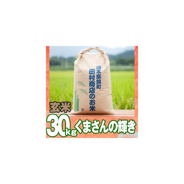 7NY@F{Y܂̋P30kgiς݁j