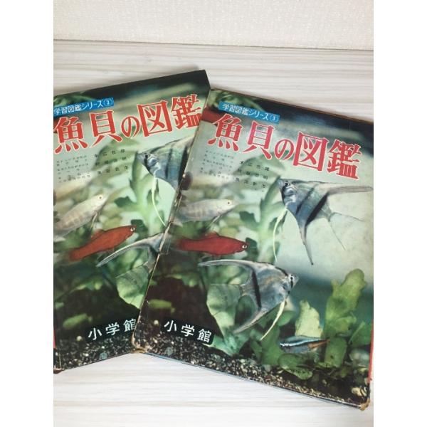 中古品−可経年の使用、保管によるヤケ、汚れ、くすみ、スレ、ヨレ、小傷、シミなどがございます。函全体的にヤケ、汚れ、くすみ、スレ、傷、打痕、シミがございます。破れがあります。経年のダメージはございますが通読に問題ございません。現状での出品とさ...