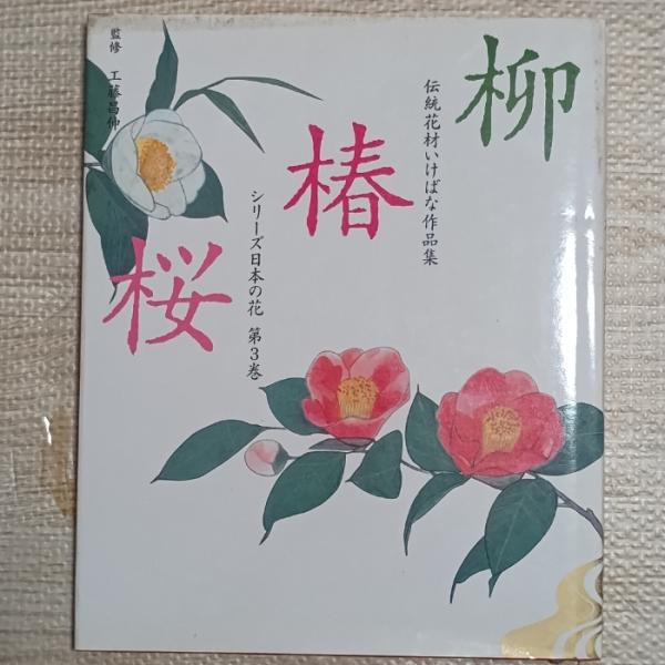 中古品−可経年の使用、保管によるヤケ、汚れ、くすみ、スレ、ヨレ、小傷、シミなどがございます。経年のダメージはございますが通読に問題ございません。現状での出品とさせていただきます。