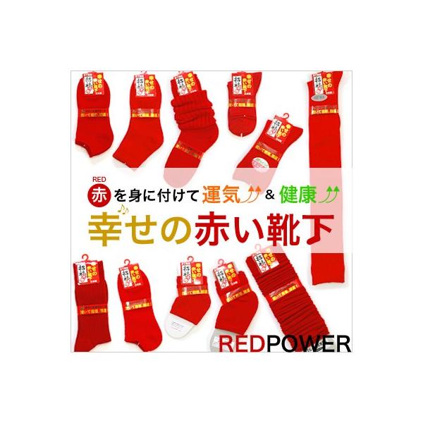 C fB[X J^ ԂTZbg { C \bNX T|[^[ bOEH[}[ K̐ԂC җ N hV̓ 蕨 v[g