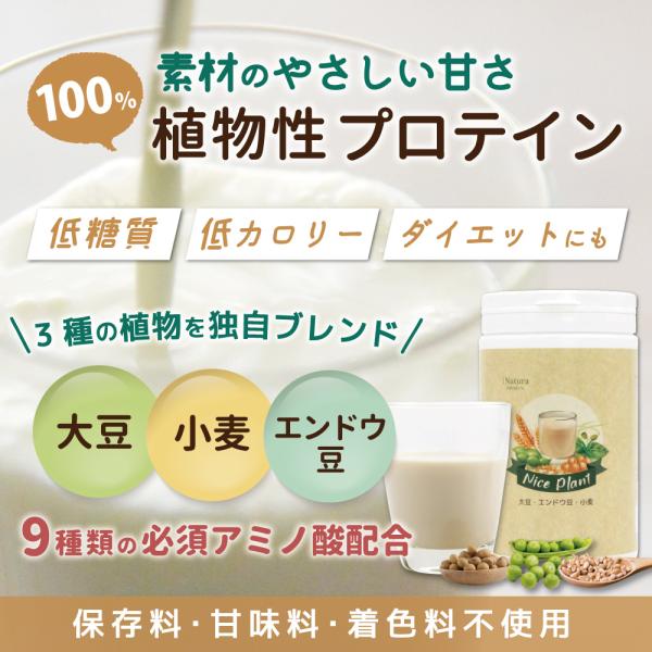 他サイト： ソイプロテイン ダイエット 植物性 低糖質 低カロリー 無添加 味なし 無香料 無着色 タンパク質 プレーン プロテイン ナイスプラント （450g入り）の商品画像