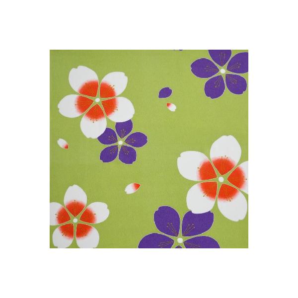 C~ ӂ낵 ߂  68cm   2967#301 INAZUMA