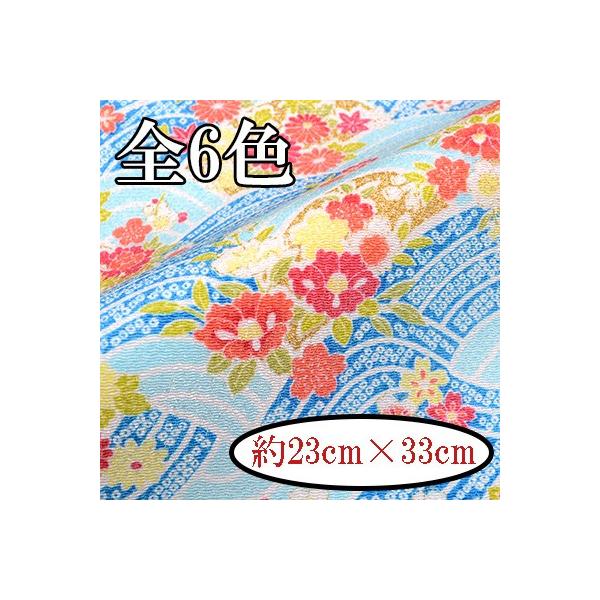 [߂ ߂񐶒n JbgNX ͂   2018V C-170-23cm INAZUMA