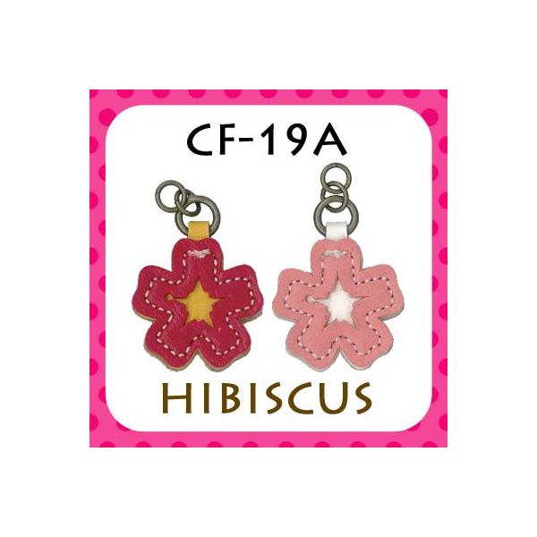 t@Xi[ Wbp[`[ nCrXJX CF-19A INAZUMA