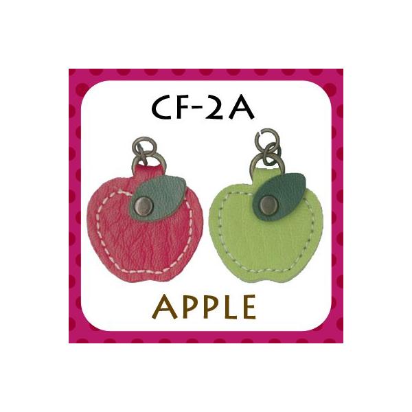 t@Xi[ Wbp[`[  ь CF-2A INAZUMA