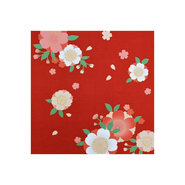 C~ ӂ낵 ߂  68cm   M42#401 INAZUMA