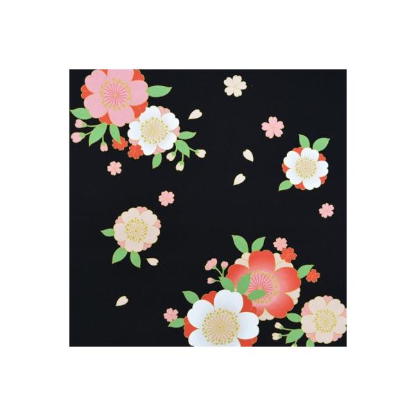 C~ ӂ낵 ߂  68cm   M42#701 INAZUMA