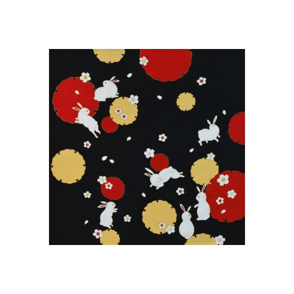 C~ ӂ낵 ߂  68cm ւɂ   M40#401 INAZUMA