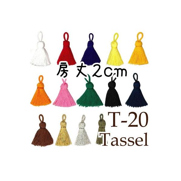 [a[ ^bZ ֕t[ [2cm T-20 INAZUMA