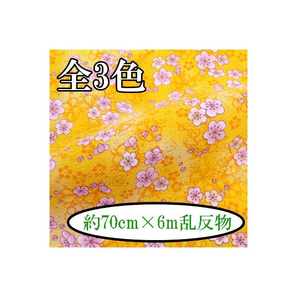 [߂ n  70cm×6m  ~ C-126 s INAZUMA