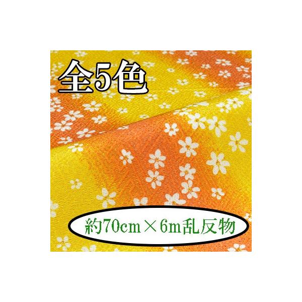 [߂ n  70cm×6m  Ɏш^ MU-1 s INAZUMA