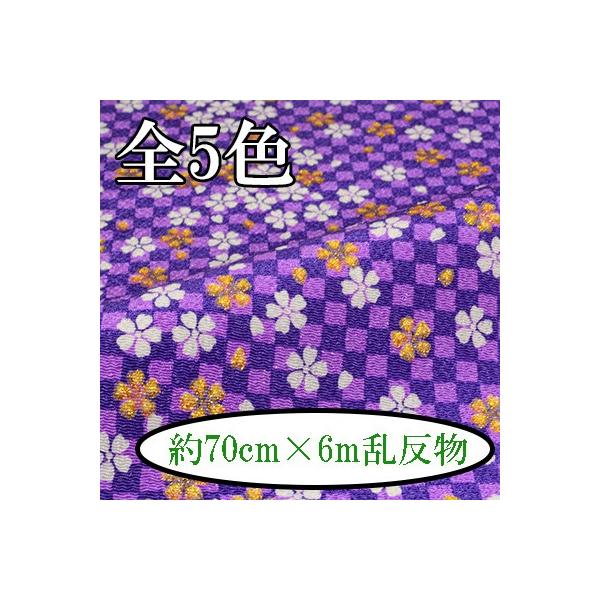 [߂ n  70cm×6m  Ɏs͗l MU-2 s INAZUMA