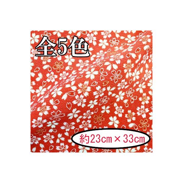 [߂ ߂񐶒n JbgNX 23×33cm ͂    AT-3 INAZUMA