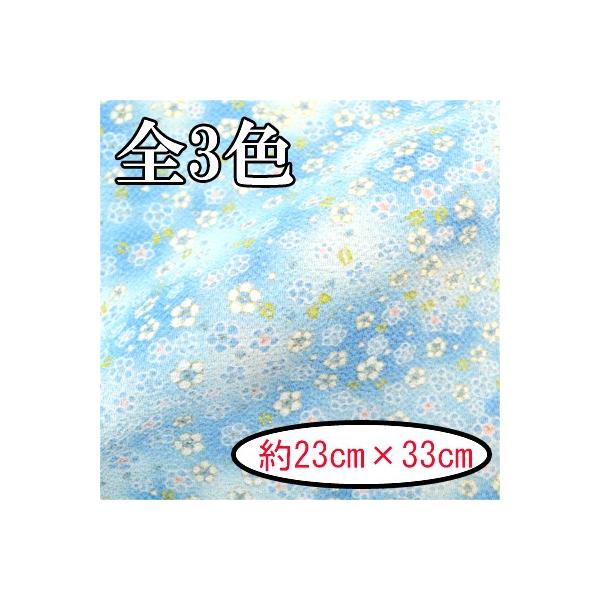 [߂ ߂񐶒n JbgNX 23×33cm ͂   ~ C-127