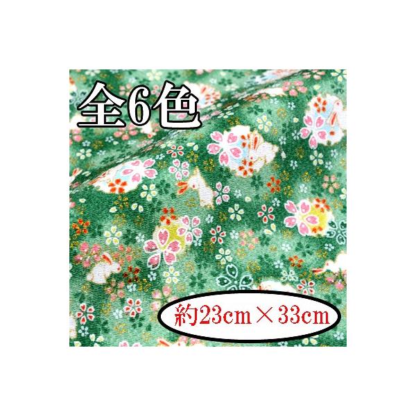 [߂ ߂񐶒n JbgNX ͂ ƍ C-142 INAZUMA