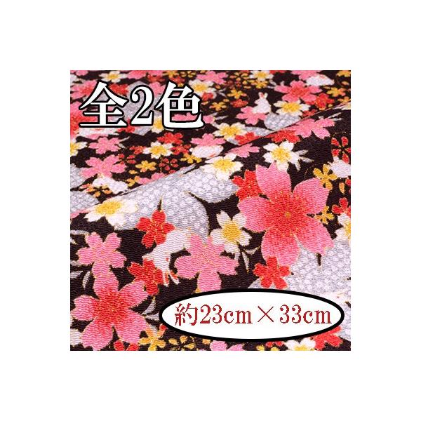[߂ ߂񐶒n JbgNX 23×33cm ͂   ɂ C-153 INAZUMA
