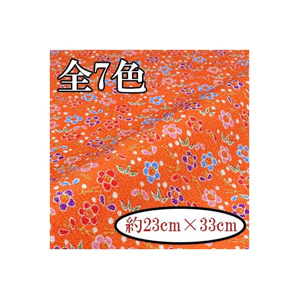 [߂ ߂񐶒n JbgNX 23×33cm ͂   ~ J-19 INAZUMA