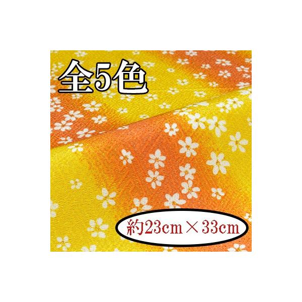 [߂ ߂񐶒n JbgNX 23×33cm ͂   Ɏш^ MU-1 INAZUMA