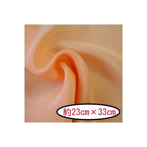 [߂ ߂񖳒nJbgNX ͂ #9 F T[sN