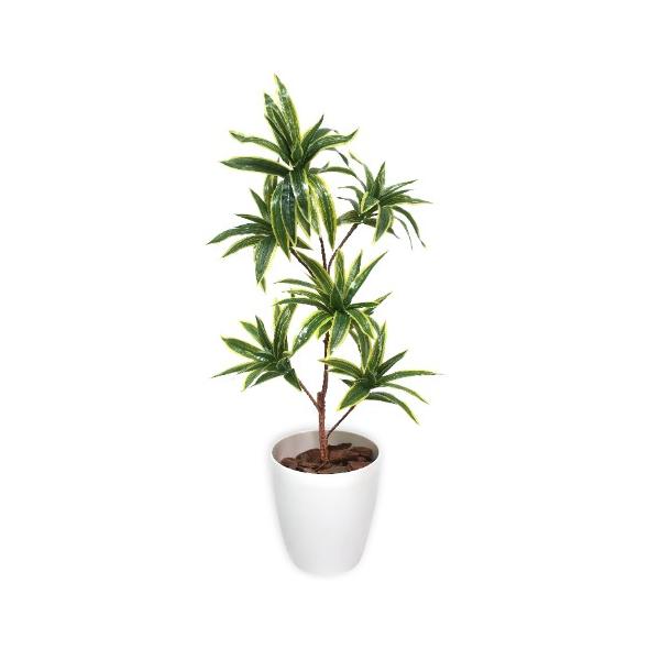人工観葉植物 ソングオブインディア Mサイズ/プロ用/新品/送料無料