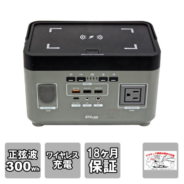 ST-POBTTY-300W-GL STAYER CX[d |[^ud g 300W AC100V{dliO[j