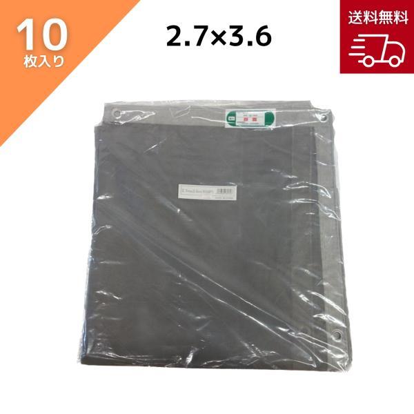 ネット　１０ｍ×２，７ｍ 1000ft Cat6 Ethernet Cable Box, Plenum, 23AWG, Blue - FS