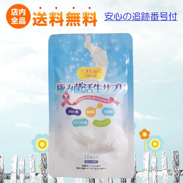 極み菌活生サプリ 31粒 ダイエットサプリメント 腸内フローラ Select Shop Indivise 通販 Yahoo ショッピング