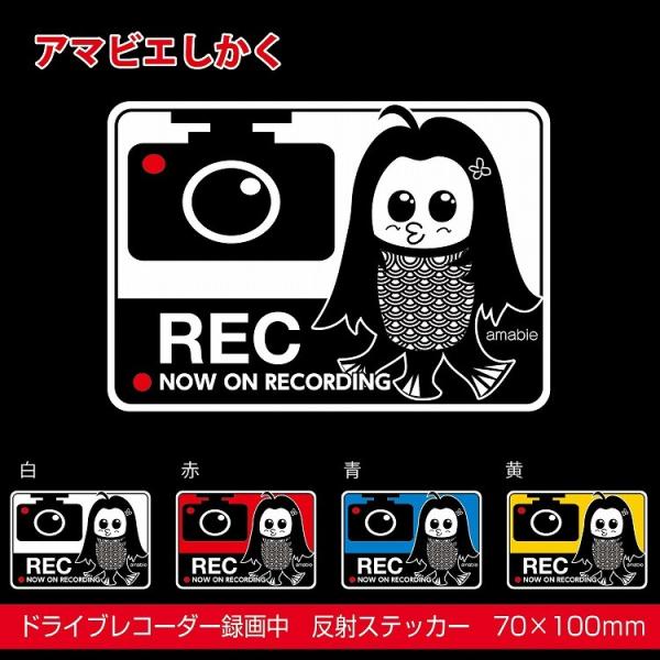 hRXebJ[  hCuR[_[ lp A}rG