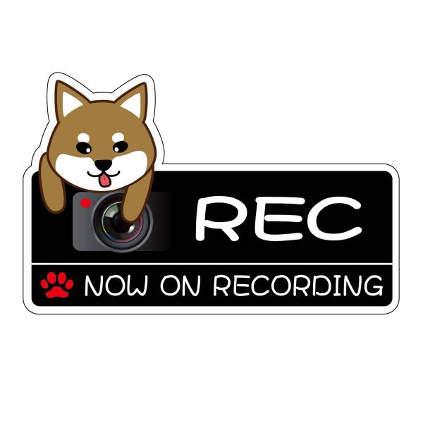 ドラレコステッカー 犬 反射 かわいい ステッカー ドライブレコーダー 撮影 40×100 たぶん柴犬