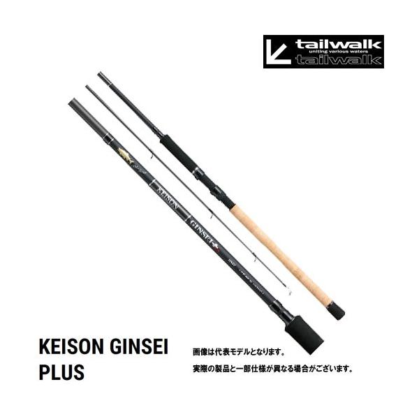 ##tailwalk テイルウォーク ケイソンセカンドラン 110H-T 「銀聖」 tailwalk テイルウォーク ケイソンセカンドラン 110H-T 「銀聖