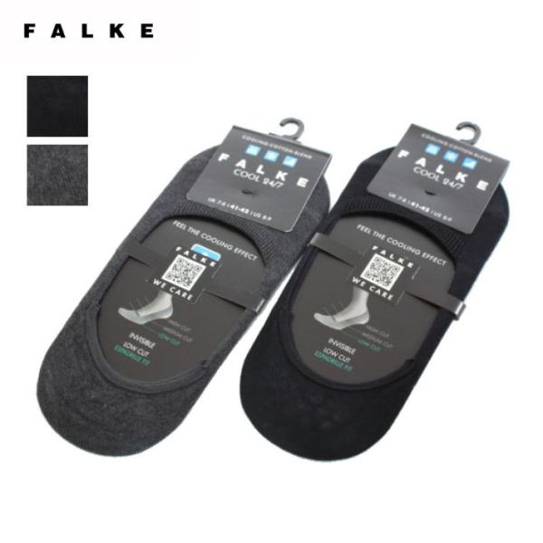 infinity_falke-13247