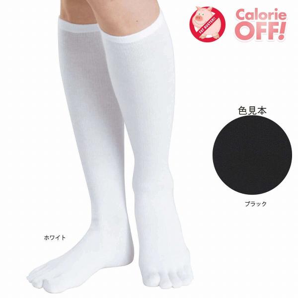 \bNX ×p ނ \bNX C e XgbLO  i[X Ōt m At@~G@5{wRbgnC\bNX