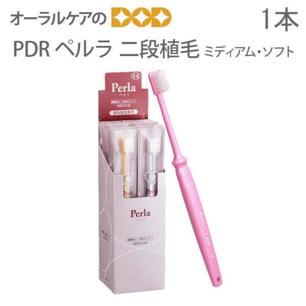 11/5I5%OFFN[|IuV PDR y iA 1{ [։ 40{܂