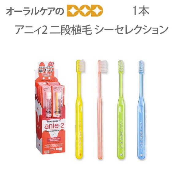 11/22.23I5%OFFN[|IuV q V[ZNV AjB2 iA LbvȂ 1{ [։ 40{܂