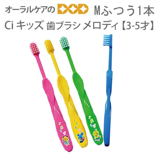 12/1I5%OFFN[|IuV q CiLbY l ӂ 3`5Ηp ǂnuV fB 1{ [։ 40{܂ 