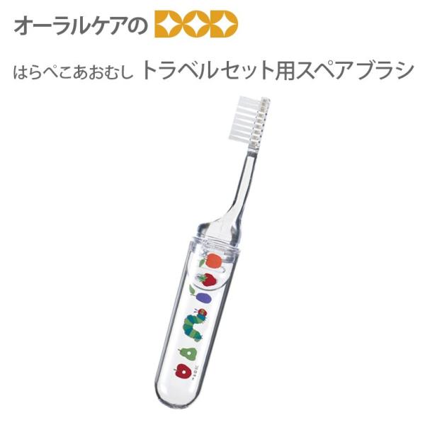 11/5I5%OFFN[|IuV ͂؂ނ gxZbgpXyAuV P̂ł̂gp\ł gxObY [֕s